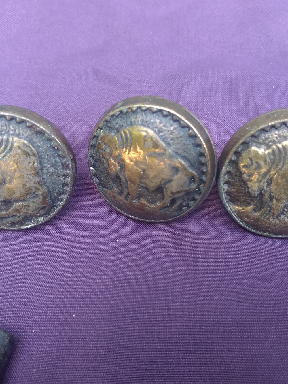 Lot Of 12 Antique Brass-Tone Buffalo Button Set on Purple